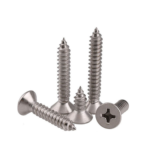 Stainless Steel Self Tapping Screws များ